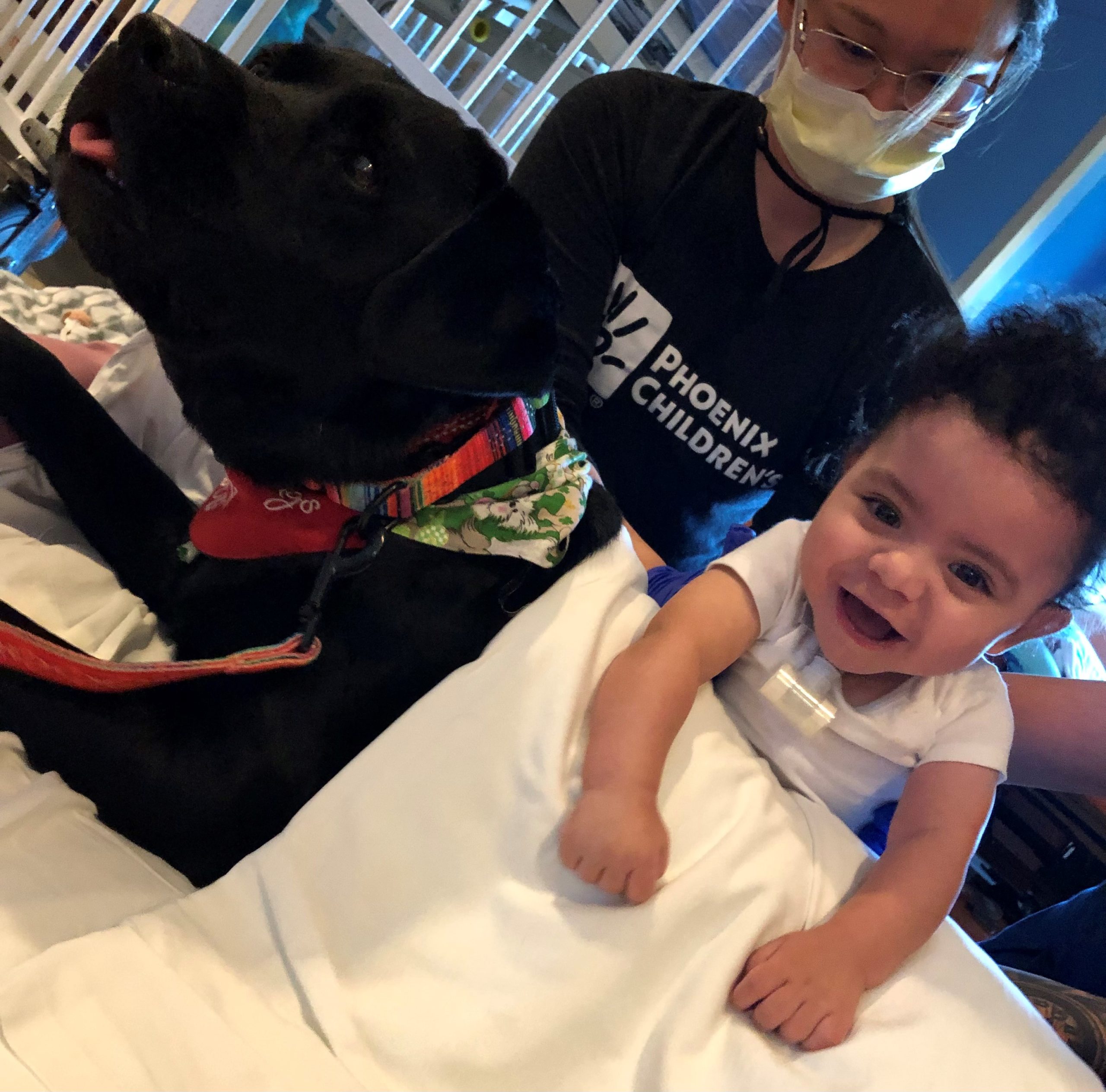 Animal-assisted therapy offers hope and healing to patients at Phoenix Children’s